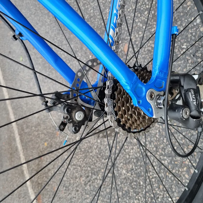 Raleigh mountain bike 2025 blue