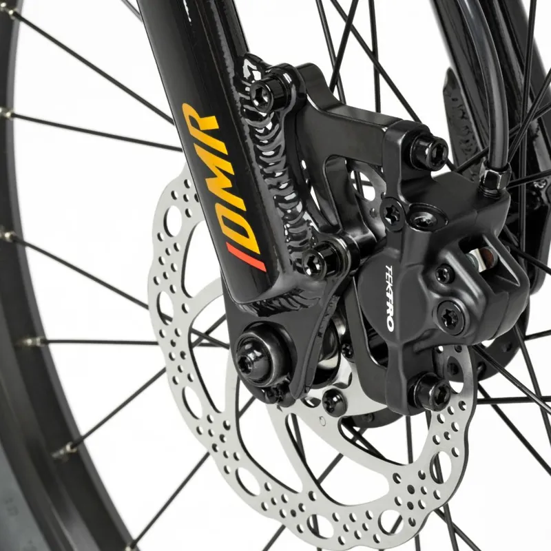 DMR Sidekick Ride 20inch kids bike-1