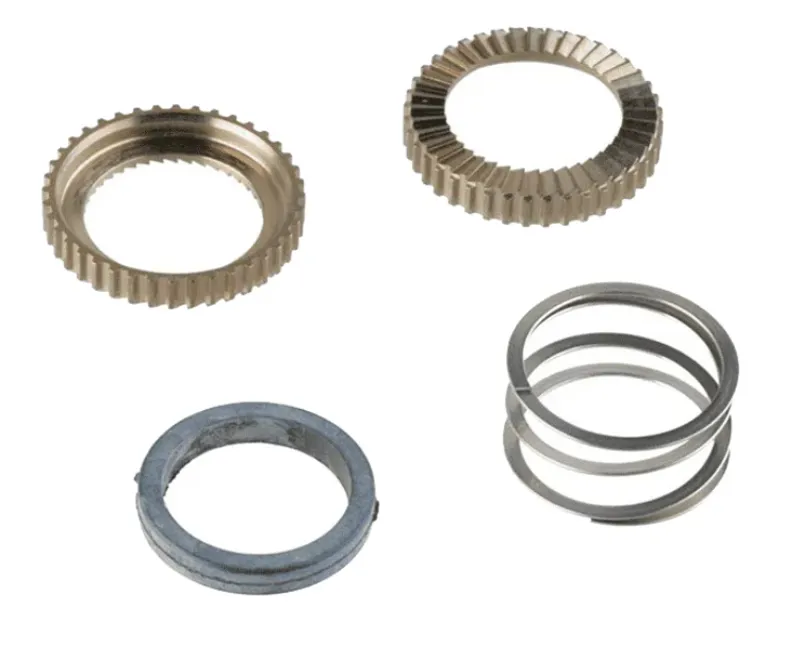 Mavic Id360 Freehub Kit 2 Ratchets + Spring + Grease-1