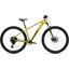2022 Cube Analog Hardtail Mountain Bike in Gold