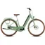 Cube Aruba Hybrid 600 eMountain Bike in Cactus/Brown