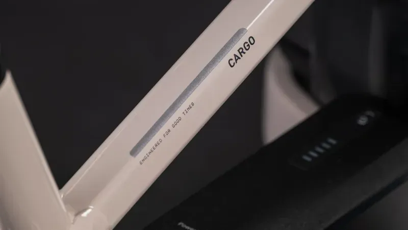 Cube Cargo Hybrid Comfort Pro Family 800 eHybrid Bike in Oat Grey-2