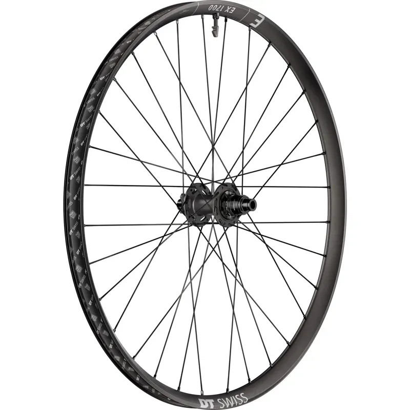 DT Swiss EX 1700 29in 30mm Boost SRAM XD Rear Wheel in Black