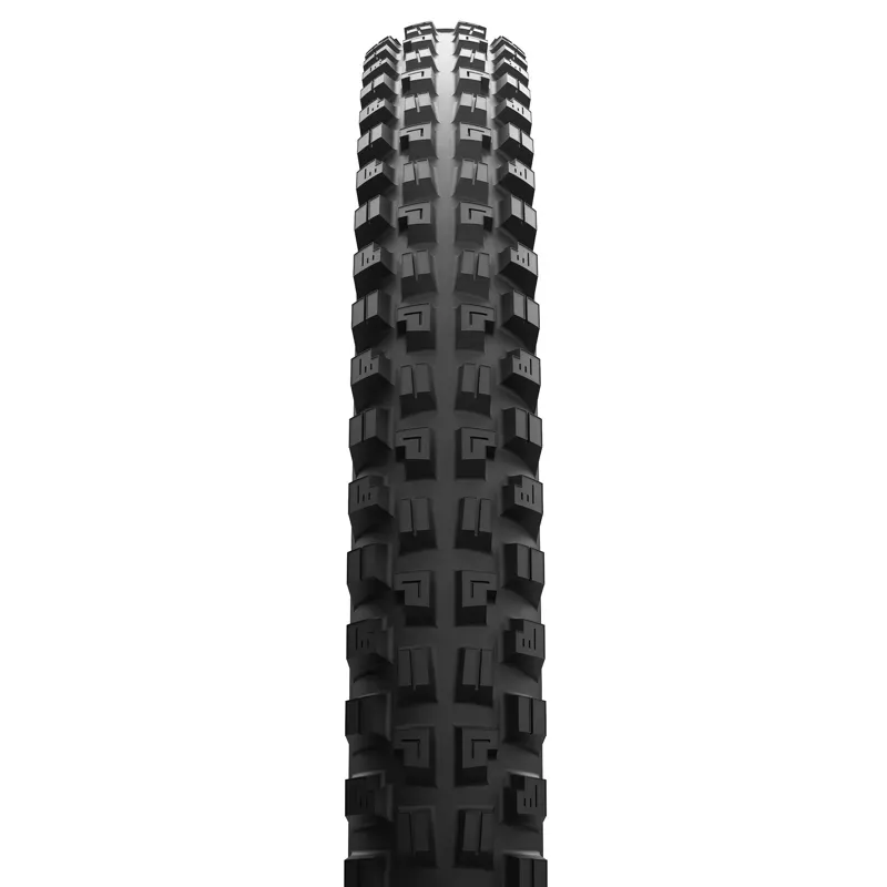 Maxxis Minion DHX Tyre in Black-1