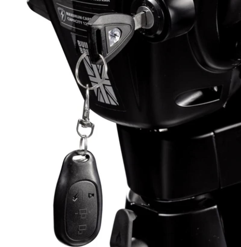 Eskuta SX-250 Series 4 Classic Electric Bike-3