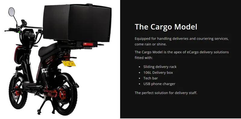 Eskuta SX-250 Series 4 Cargo Electric Bike-1