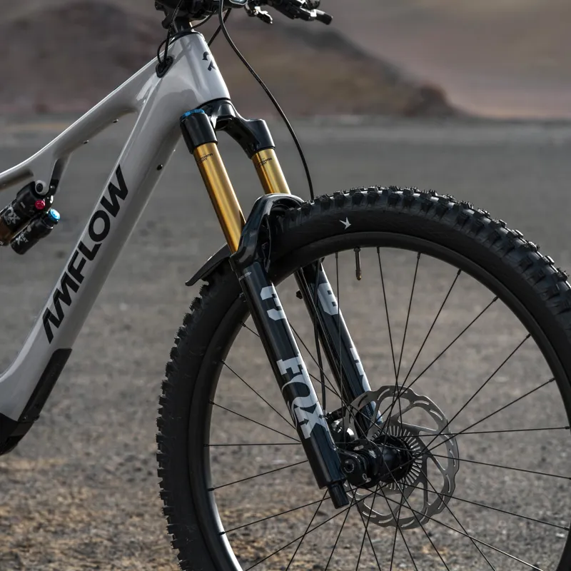 Amflow PX Carbon Pro 2027 Avinox M2S Electric Mountain Bike-3