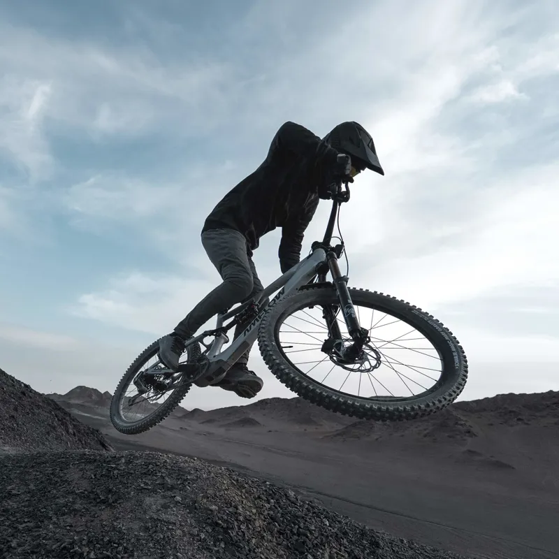 Amflow PX Carbon Pro 2027 Avinox M2S Electric Mountain Bike-1