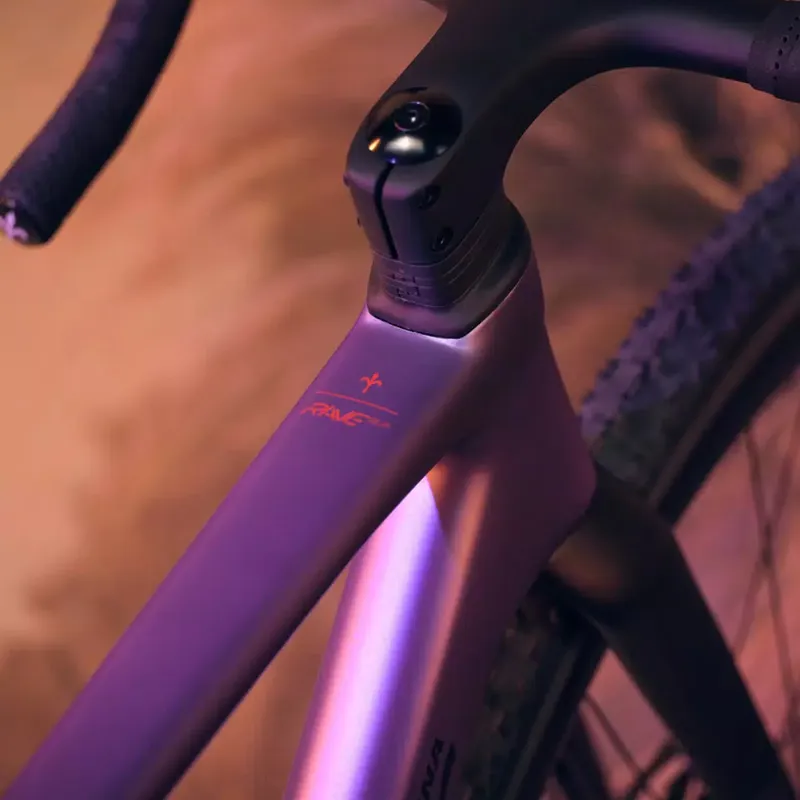 Wilier Rave SLR Ultegra Di2 Bike Purple-3