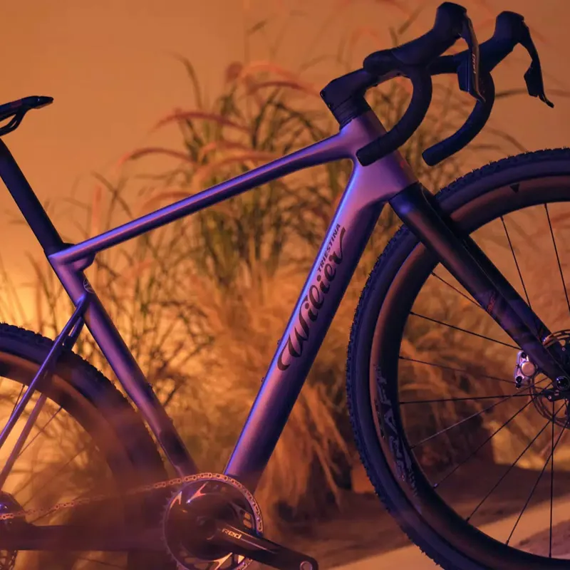 Wilier Rave SLR Ultegra Di2 Bike Purple-1