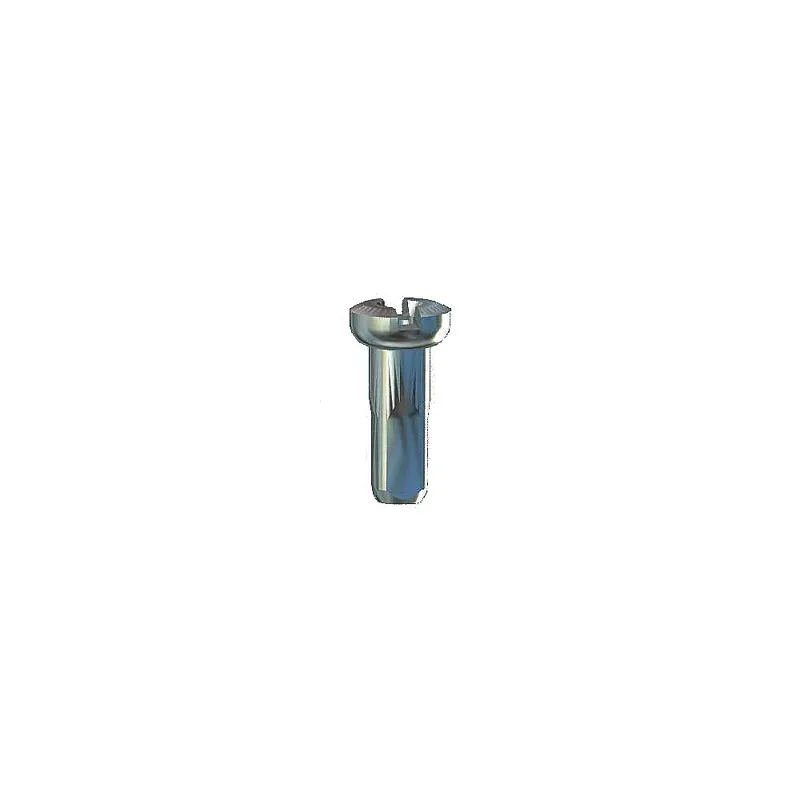 Sapim Polyax 12mm Brass Nipples in Silver