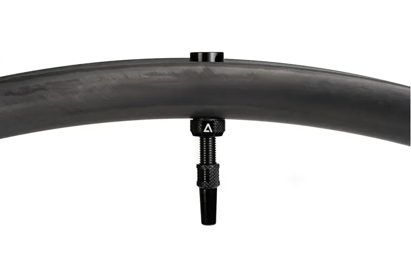 Acid Tubeless Valve in Black-1