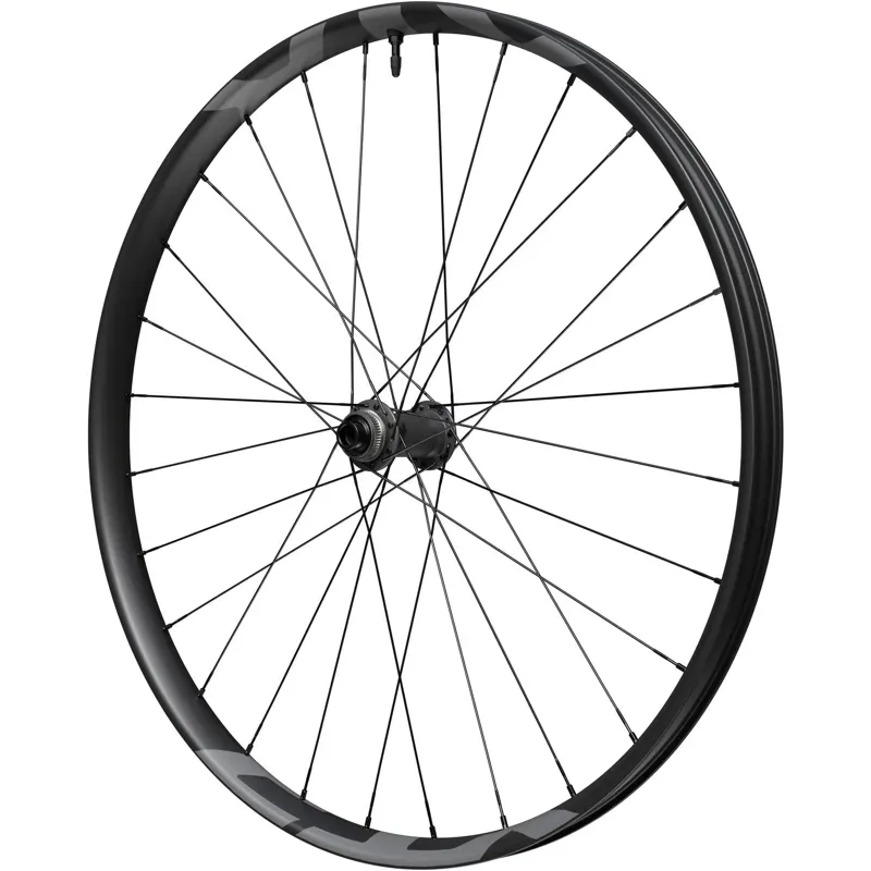 Shimano M9220 Front Wheel 29er XTR 15x110mm CL FR Black 29 inches-1